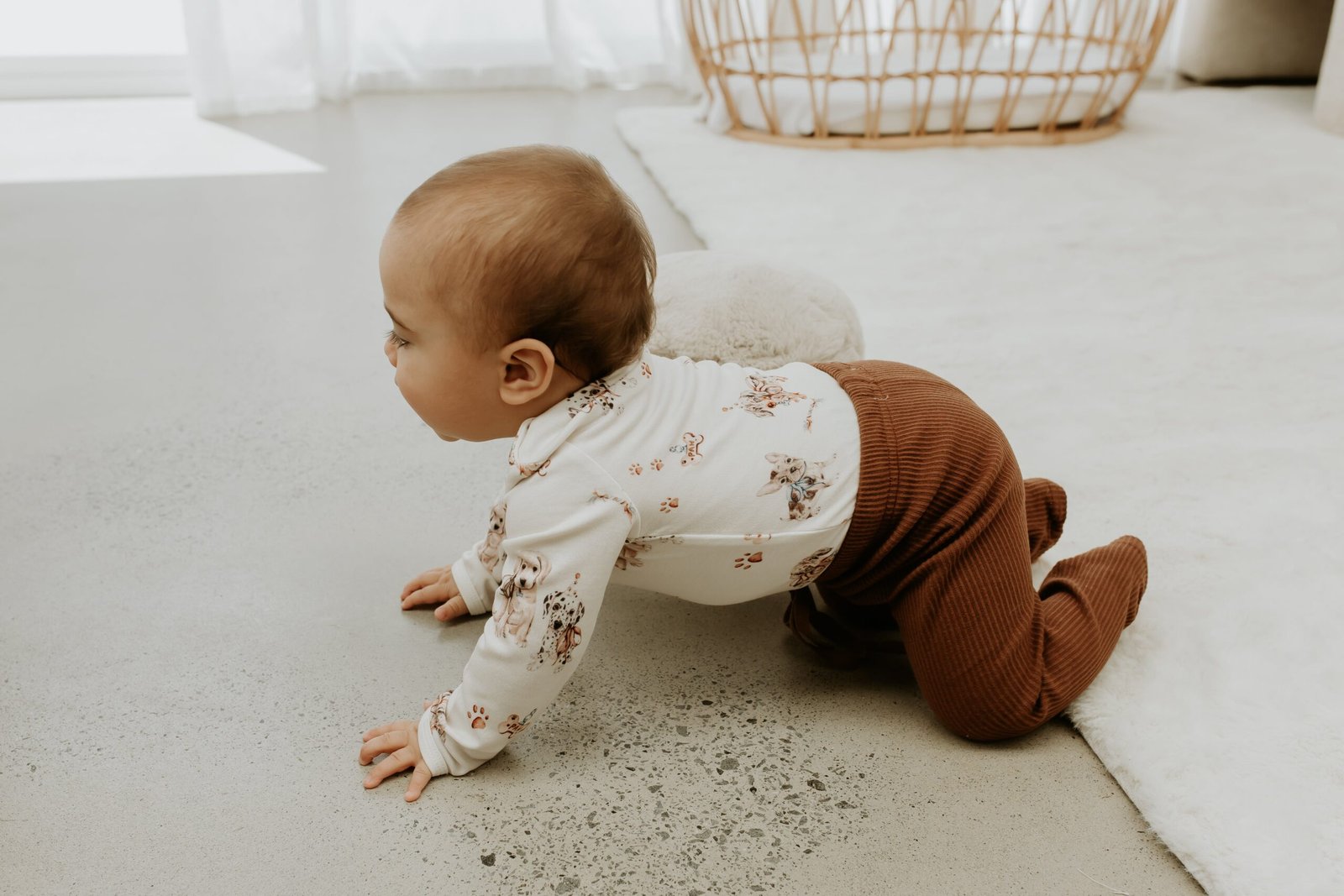 *Prem, 0-3 + 1Y left* Pawfect Pals - L/S Bodysuit