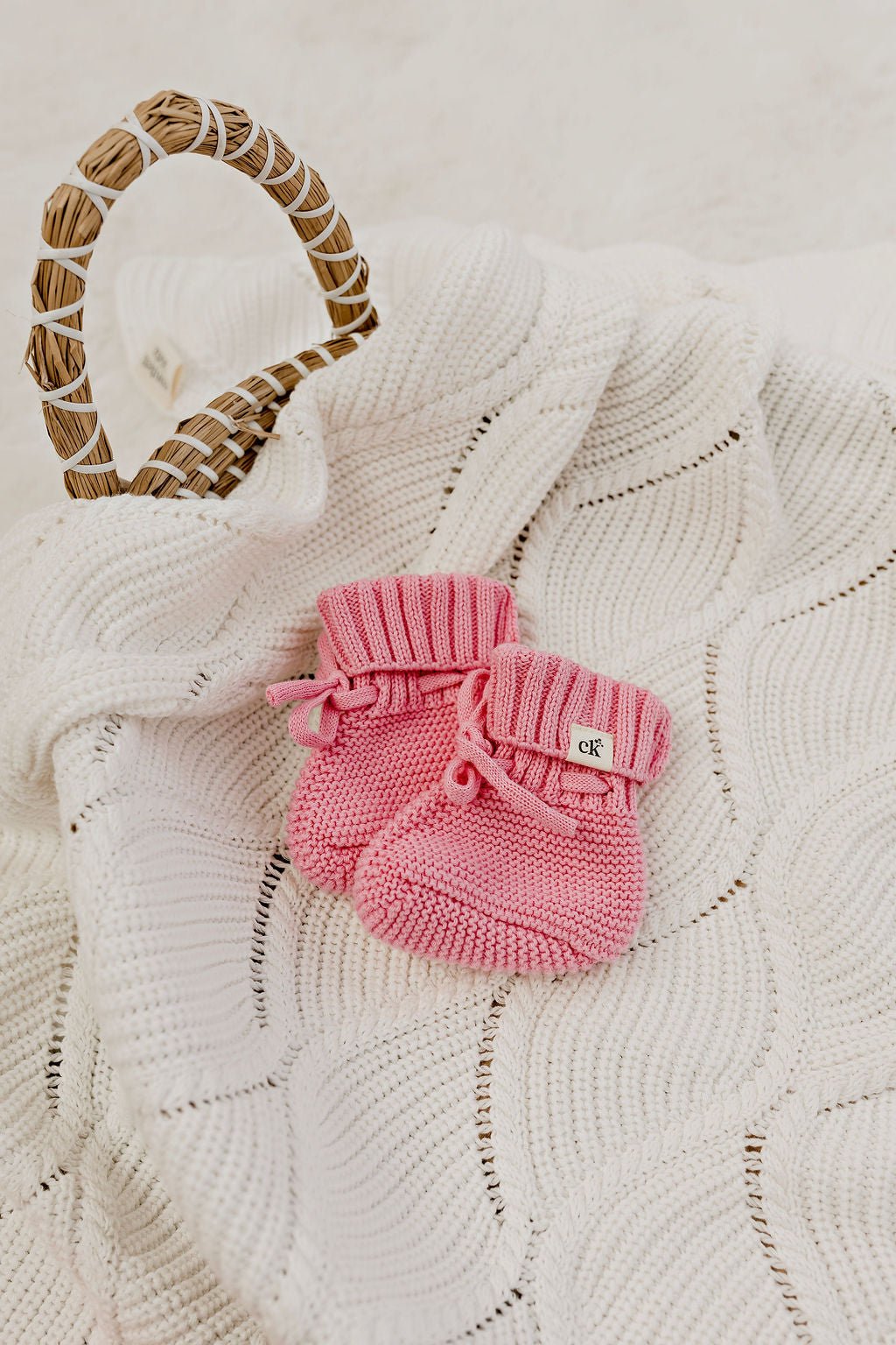 Seashell Bloom Dream Bundle